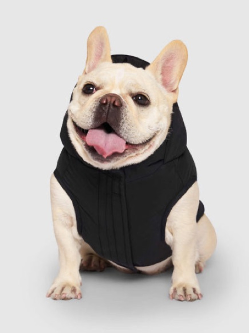 Canada Pooch Waterproof Puffer Dog Jacket Black Size 10 NWT GWP